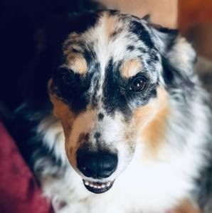 Meet your Posher, Joy